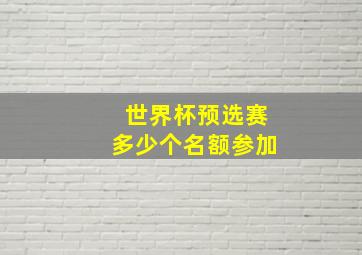 世界杯预选赛多少个名额参加