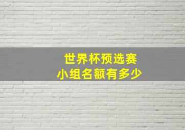 世界杯预选赛小组名额有多少