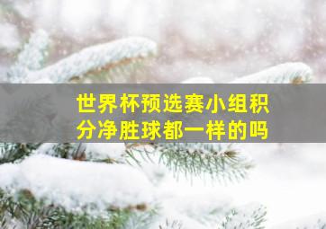 世界杯预选赛小组积分净胜球都一样的吗