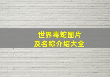 世界毒蛇图片及名称介绍大全