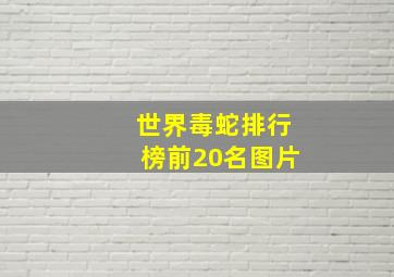 世界毒蛇排行榜前20名图片