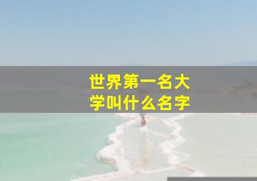 世界第一名大学叫什么名字