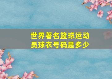 世界著名篮球运动员球衣号码是多少