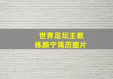 世界足坛主教练颜宁简历图片