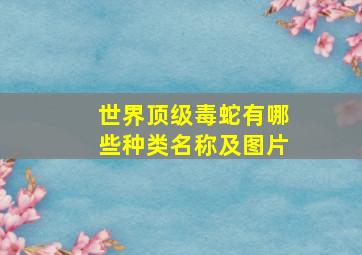 世界顶级毒蛇有哪些种类名称及图片