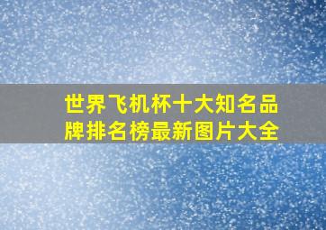 世界飞机杯十大知名品牌排名榜最新图片大全