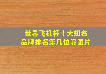 世界飞机杯十大知名品牌排名第几位呢图片