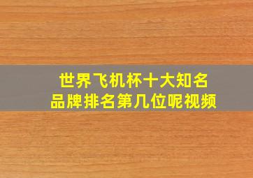 世界飞机杯十大知名品牌排名第几位呢视频