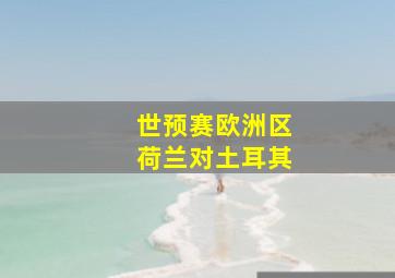 世预赛欧洲区荷兰对土耳其