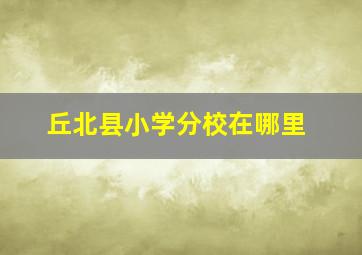 丘北县小学分校在哪里