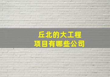 丘北的大工程项目有哪些公司