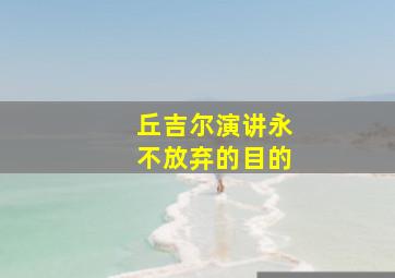 丘吉尔演讲永不放弃的目的