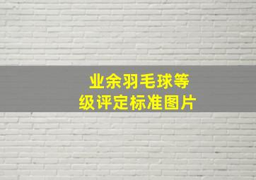 业余羽毛球等级评定标准图片