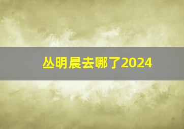 丛明晨去哪了2024