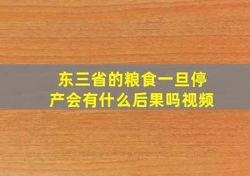 东三省的粮食一旦停产会有什么后果吗视频