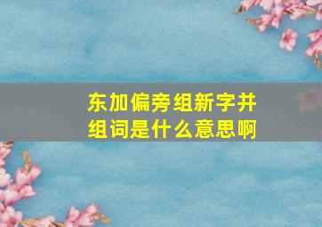 东加偏旁组新字并组词是什么意思啊