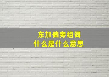 东加偏旁组词什么是什么意思