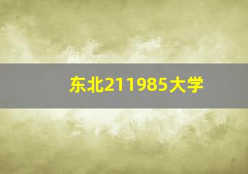 东北211985大学