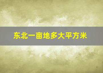 东北一亩地多大平方米