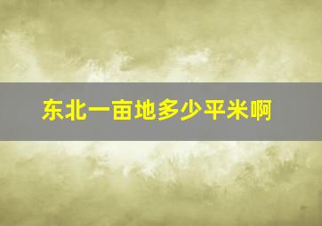 东北一亩地多少平米啊