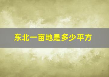 东北一亩地是多少平方