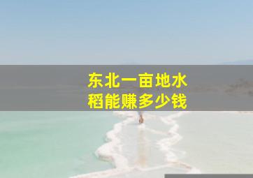 东北一亩地水稻能赚多少钱