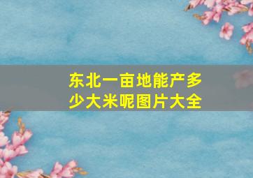 东北一亩地能产多少大米呢图片大全