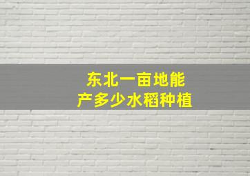 东北一亩地能产多少水稻种植