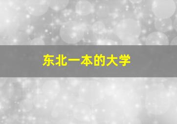 东北一本的大学