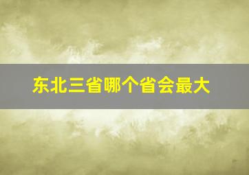 东北三省哪个省会最大