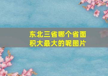 东北三省哪个省面积大最大的呢图片