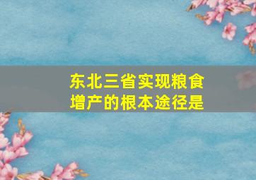 东北三省实现粮食增产的根本途径是