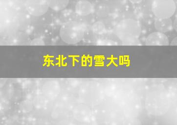 东北下的雪大吗