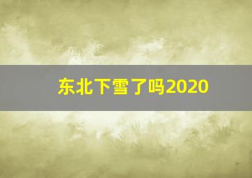 东北下雪了吗2020