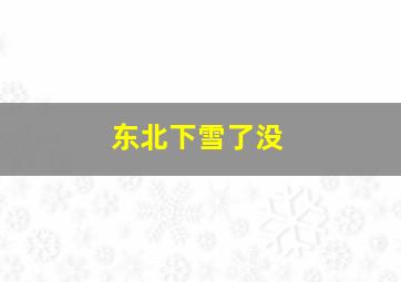 东北下雪了没