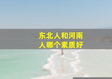 东北人和河南人哪个素质好