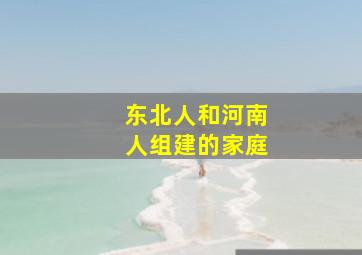 东北人和河南人组建的家庭