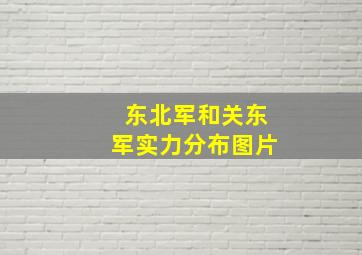 东北军和关东军实力分布图片