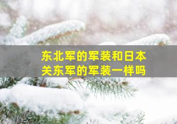 东北军的军装和日本关东军的军装一样吗