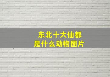 东北十大仙都是什么动物图片