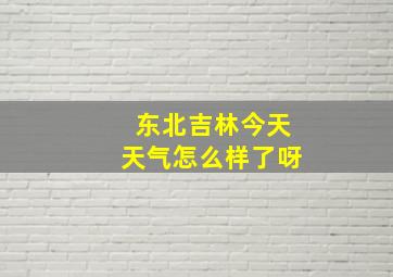 东北吉林今天天气怎么样了呀