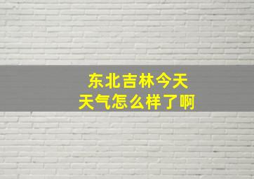 东北吉林今天天气怎么样了啊