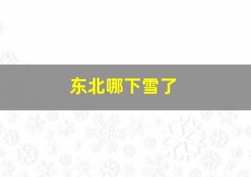 东北哪下雪了