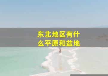 东北地区有什么平原和盆地