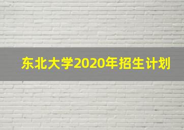 东北大学2020年招生计划