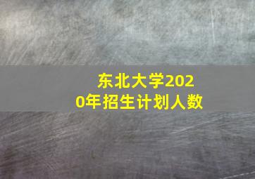 东北大学2020年招生计划人数