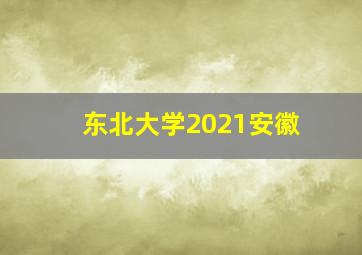 东北大学2021安徽