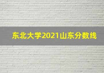 东北大学2021山东分数线