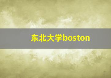 东北大学boston