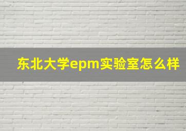 东北大学epm实验室怎么样